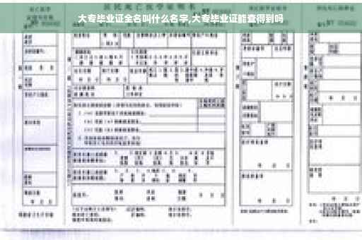 大专毕业证全名叫什么名字,大专毕业证能查得到吗
