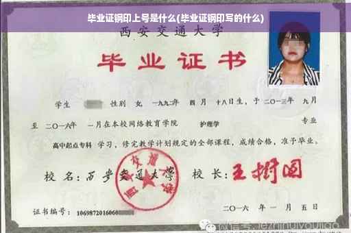 毕业证钢印上号是什么(毕业证钢印写的什么)