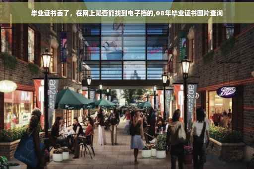 毕业证书丢了，在网上是否能找到电子档的,08年毕业证书图片查询
