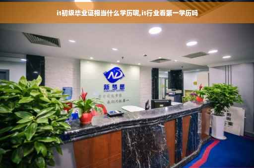 it初级毕业证相当什么学历呢,it行业看第一学历吗