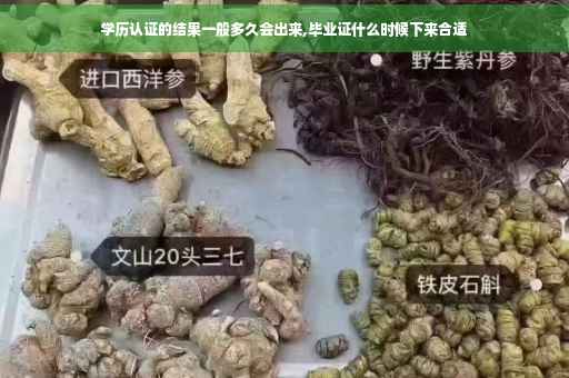 学历认证的结果一般多久会出来,毕业证什么时候下来合适