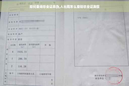 如何查询毕业证真伪,人社局怎么查验毕业证真假