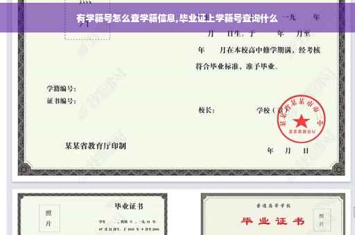 有学籍号怎么查学籍信息,毕业证上学籍号查询什么