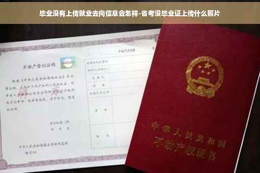 毕业没有上传就业去向信息会怎样-省考没毕业证上传什么照片