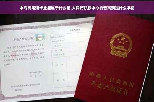 中专高考班毕业后属于什么证,大同市职教中心的普高班是什么学籍