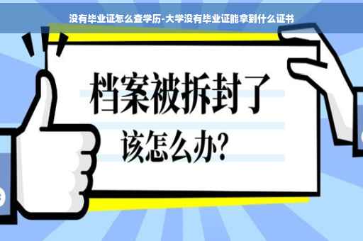 没有毕业证怎么查学历-大学没有毕业证能拿到什么证书