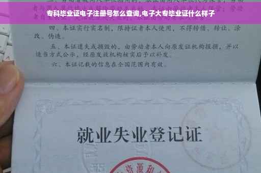 专科毕业证电子注册号怎么查询,电子大专毕业证什么样子