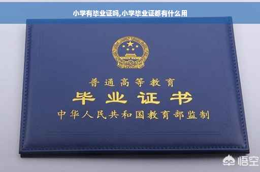 小学有毕业证吗,小学毕业证都有什么用