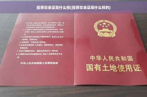 技师毕业证是什么样(技师毕业证是什么样的)
