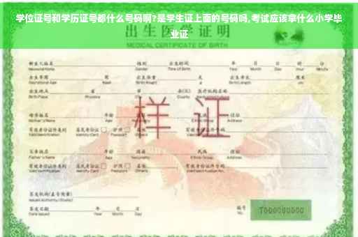 学位证号和学历证号都什么号码啊?是学生证上面的号码吗,考试应该拿什么小学毕业证