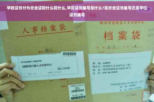 学校证书分为毕业证和什么和什么,学历证书编号是什么?是毕业证书编号还是学位证书编号