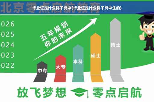 毕业证是什么样子高中(毕业证是什么样子高中生的)