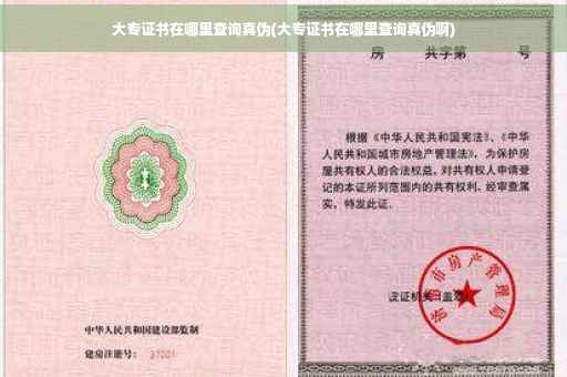 大专证书在哪里查询真伪(大专证书在哪里查询真伪啊)
