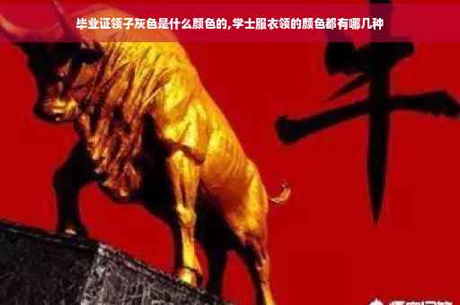 毕业证领子灰色是什么颜色的,学士服衣领的颜色都有哪几种