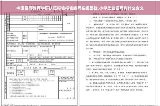 中国高等教育学历认证报告报告编号在哪里找,小学毕业证号有什么含义