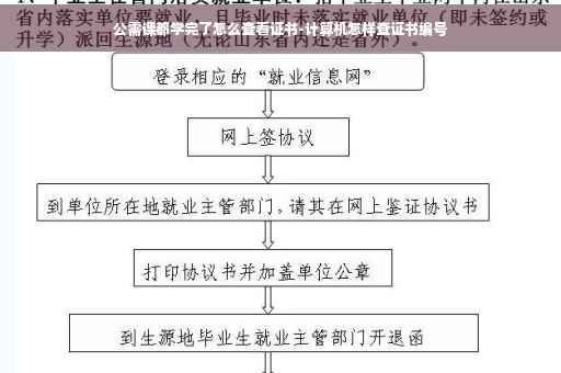 公需课都学完了怎么查看证书-计算机怎样查证书编号
