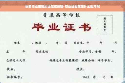 我的毕业生报到证应该放哪-毕业证要放在什么地方呢