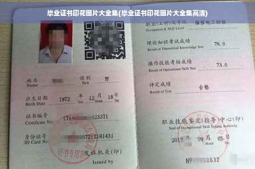 毕业证书印花图片大全集(毕业证书印花图片大全集高清)