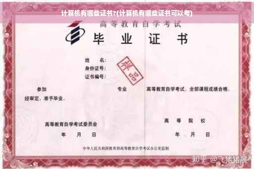 计算机有哪些证书?(计算机有哪些证书可以考)