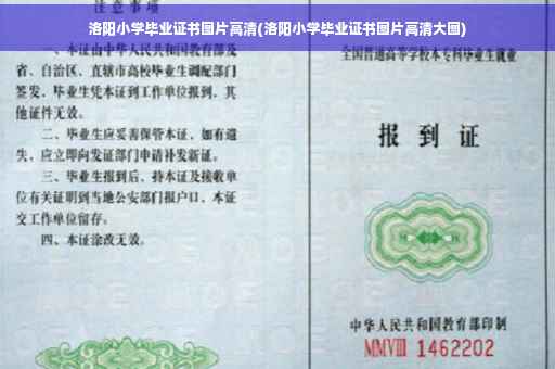 洛阳小学毕业证书图片高清(洛阳小学毕业证书图片高清大图)