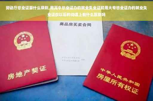 劳动厅毕业证算什么级别,用高中毕业证办的就业失业证和用大专毕业证办的就业失业证在以后的待遇上有什么区别吗