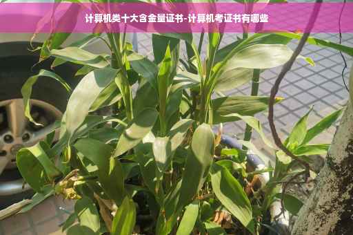 计算机类十大含金量证书-计算机考证书有哪些