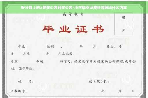 好分数上的a是多少名到多少名-小学毕业证成绩等级填什么内容