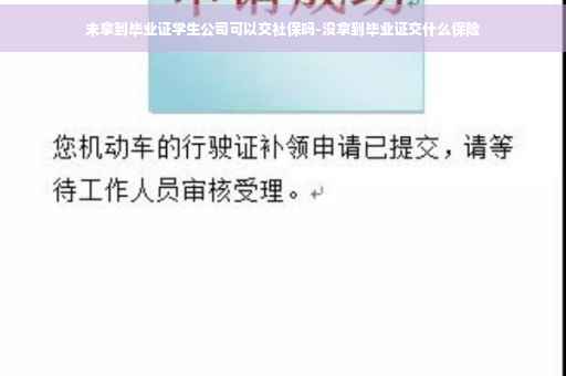 未拿到毕业证学生公司可以交社保吗-没拿到毕业证交什么保险