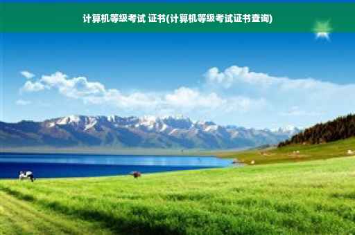 计算机等级考试 证书(计算机等级考试证书查询)