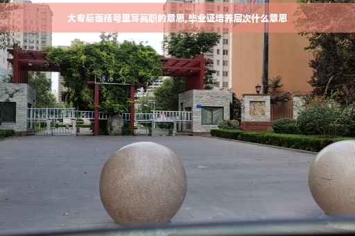 大专后面括号里写高职的意思,毕业证培养层次什么意思