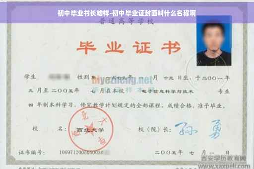 初中毕业书长啥样-初中毕业证封面叫什么名称啊