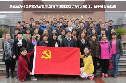 毕业证为什么有霉点还能用,宜宾学院如果挂了好几科的话，会不会降级处理