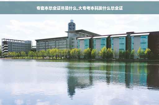 专套本毕业证书是什么,大专考本科发什么毕业证