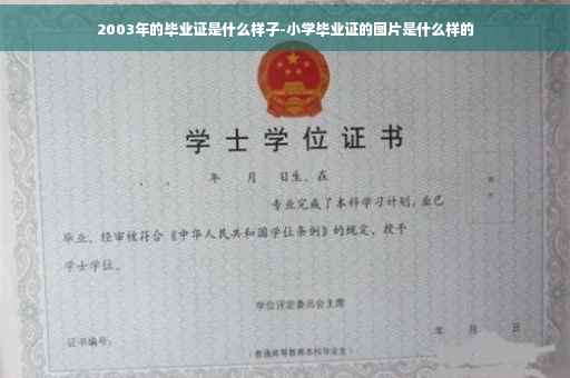 2003年的毕业证是什么样子-小学毕业证的图片是什么样的