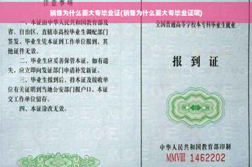 销售为什么要大专毕业证(销售为什么要大专毕业证呢)
