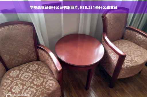学校毕业证是什么证书啊图片,985.211是什么毕业证