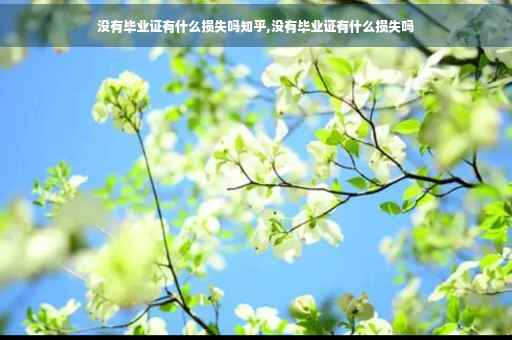 没有毕业证有什么损失吗知乎,没有毕业证有什么损失吗