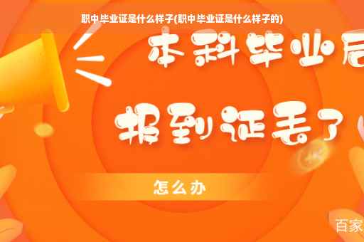 职中毕业证是什么样子(职中毕业证是什么样子的)