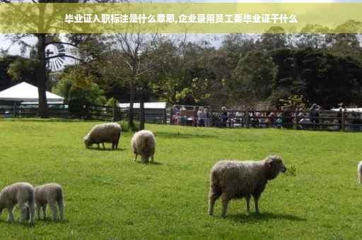 毕业证入职标注是什么意思,企业录用员工要毕业证干什么