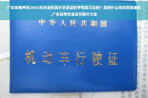 广东省梅州市2002年毕业的高中毕业证的学号是几位的？是按什么样的规律编的,广东高考毕业证书图片大全