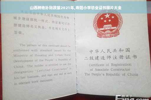 山西种地补贴政策2021年,寿阳小学毕业证书图片大全