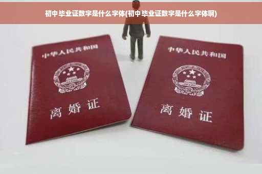 初中毕业证数字是什么字体(初中毕业证数字是什么字体啊)