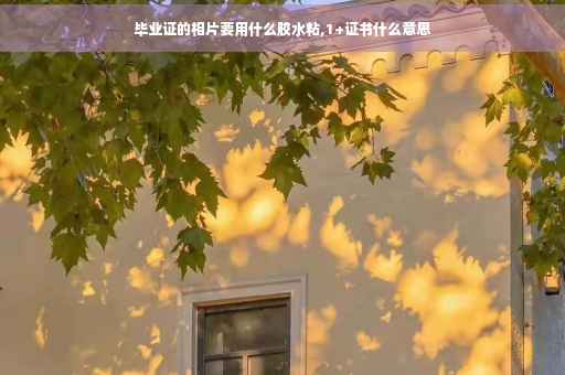 毕业证的相片要用什么胶水粘,1+证书什么意思
