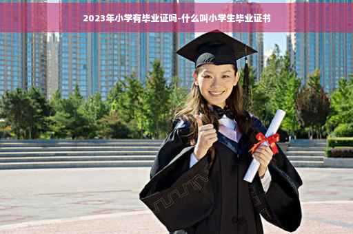 2023年小学有毕业证吗-什么叫小学生毕业证书