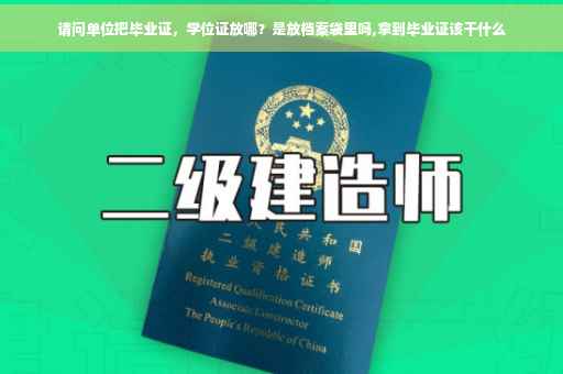 请问单位把毕业证，学位证放哪？是放档案袋里吗,拿到毕业证该干什么