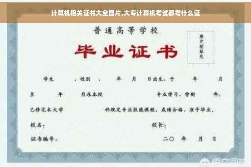 计算机相关证书大全图片,大专计算机考试都考什么证