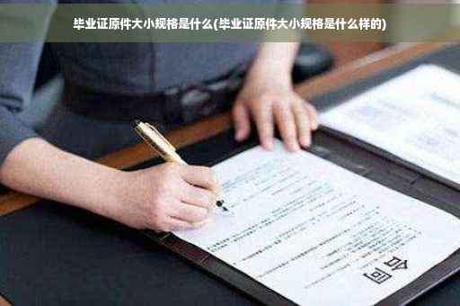 毕业证原件大小规格是什么(毕业证原件大小规格是什么样的)