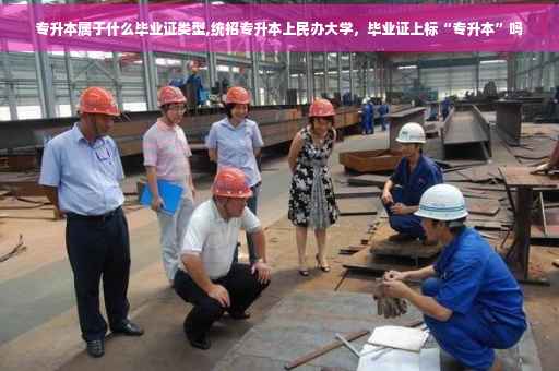 专升本属于什么毕业证类型,统招专升本上民办大学，毕业证上标“专升本”吗