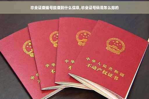 毕业证查编号能查到什么信息,毕业证号码是怎么排的