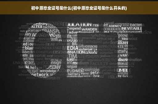 初中原毕业证号是什么(初中原毕业证号是什么开头的)